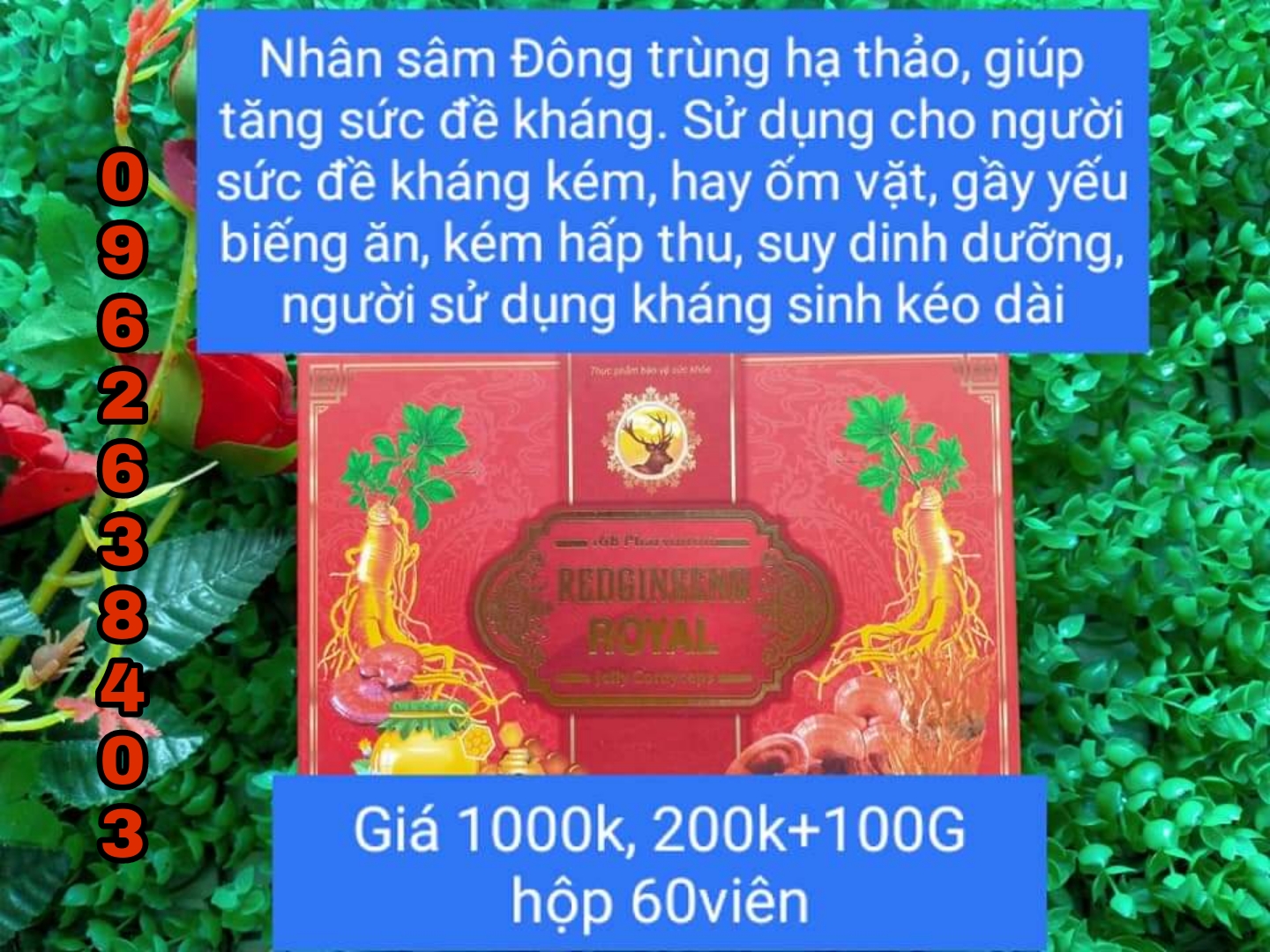 Đông trùng hạ thảo
