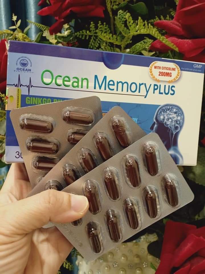 OCEAN MEMORY PLUSE