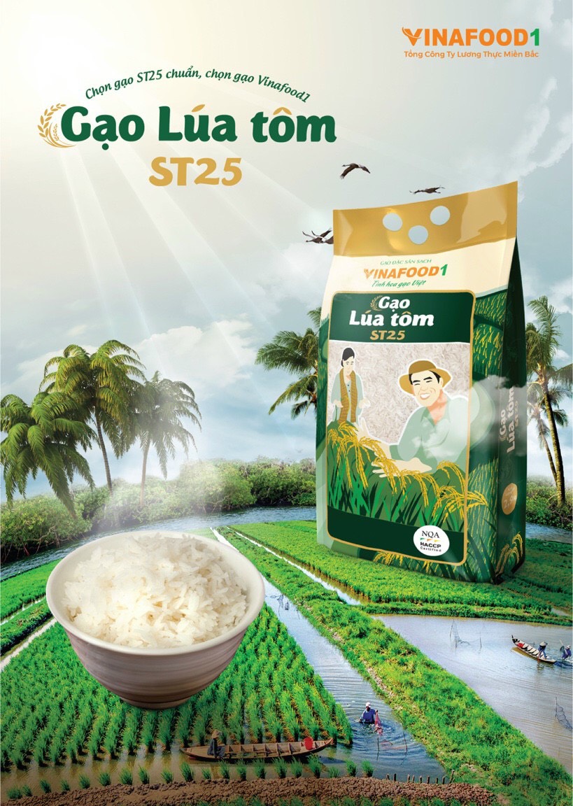 Gạo ST 25 Lúa Tôm Vinafood1 túi 2.9 kg