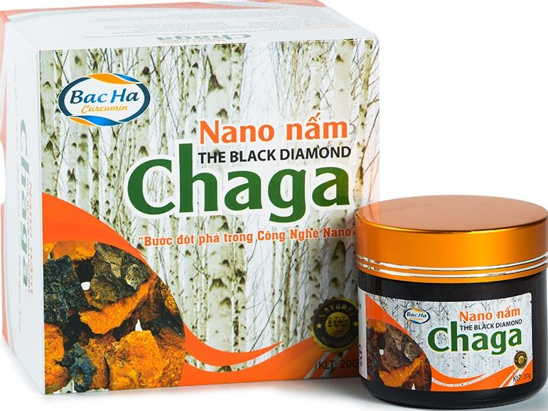Nấm Chaga