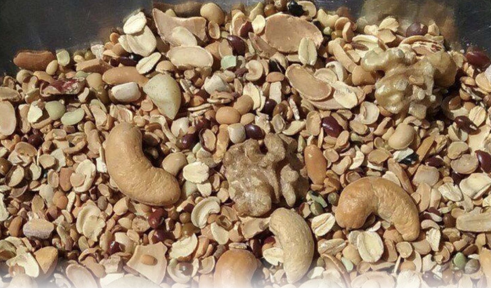 Sữa 26 loại hạt Tâm Đức