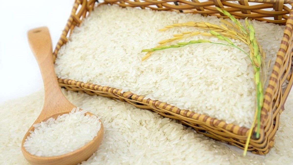Gạo mới